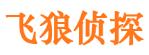 冠县市婚外情调查